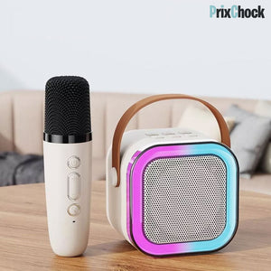 Mini-haut-parleur Portable Karaoké : Musique Et Amusement À Emporter Avec Deux Microphones - PROMO Du BLACK FRIDAY