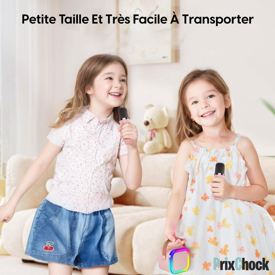 Mini-haut-parleur Portable Karaoké : Musique Et Amusement À Emporter Avec Deux Microphones - PROMO Du BLACK FRIDAY